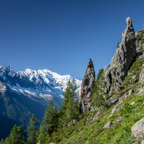 Chamonix Valley Aiguillette Argentiere