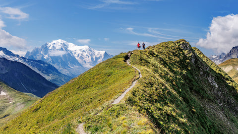 Hikers near Col de Balme on the Tour du Mont Blanc trek