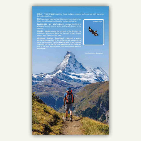 Alpine wildlife in the Knife Edge Outdoor Guidebook for the walkers Haute Route Chamonix to Zermatt