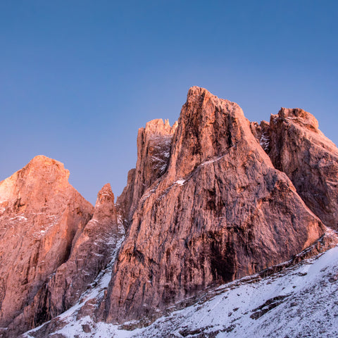 Dolomites alta via 2 alpenrose