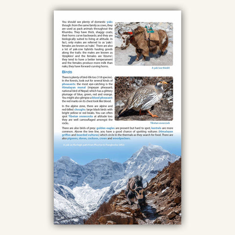 Wildlife and birds in Knife edge outdoors guidebook to everest trekking