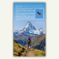 Alpine wildlife in the Knife Edge Outdoor Guidebook for the walkers Haute Route Chamonix to Zermatt