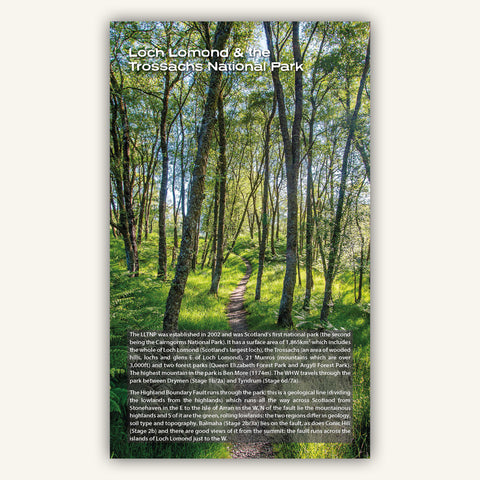Image of forest in Loch Lomond National Park in Knife Edge Outdoors guidebook to Scotland West Highland Way